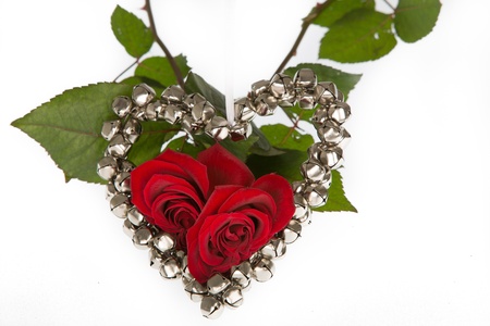 Roses within a metal heartの写真素材