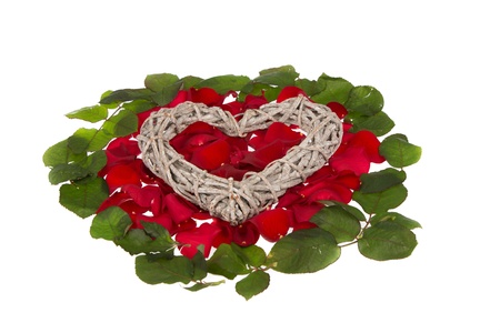 Heart on rosy bedの写真素材