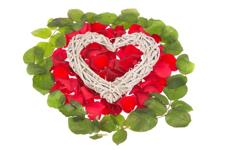 Heart on rosy bedの写真素材