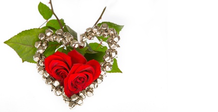 Two Roses through a metal heart, isolated on whiteの写真素材