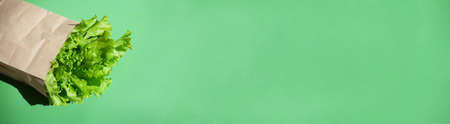a bunch of green salad in a craft bag on a green background, a lot of empty space for text