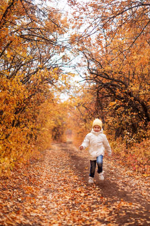 preschooler girl happily runs through the autumn colorful forest. The concept of rest in the forest in autumnの写真素材