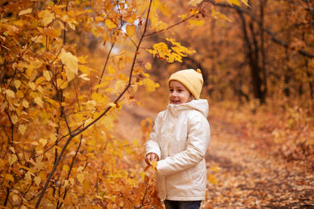 a girl in a white jacket and a yellow hat, a preschooler happily inherits the autumn colorful forest. The concept of rest in the forest in autumnの写真素材
