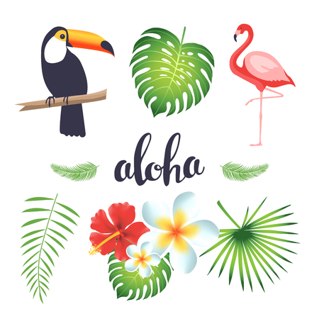 Set of toucan, flamingo, tropical leaves and flowers. Vector illustration のイラスト素材