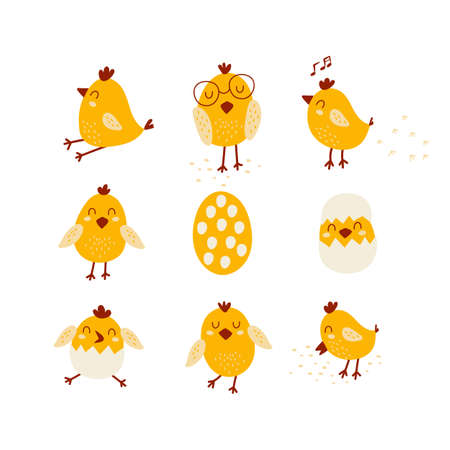Set with yellow chicks. vector illustrationsのイラスト素材