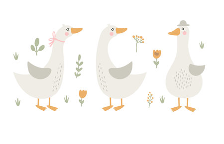 Set with geese and flowers. Vector illustrationのイラスト素材