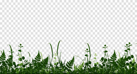 Vector bright green realistic seamless grass border isolated background. Vector illustrationのイラスト素材