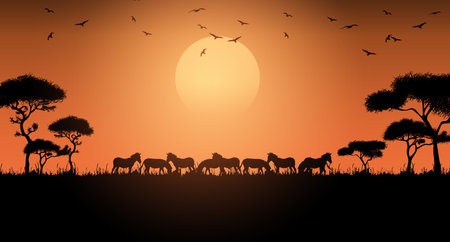 African savanna animals at sunset. Silhouettes of wild animals of the African savannahの写真素材