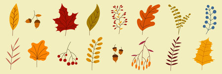 Hand drawn autumn collection with seasonal plants and leaves. Set of hand drawn plants, leaves, flowers. Colorful of natural elements for seasonal backgrounds. Vector illustrationのイラスト素材