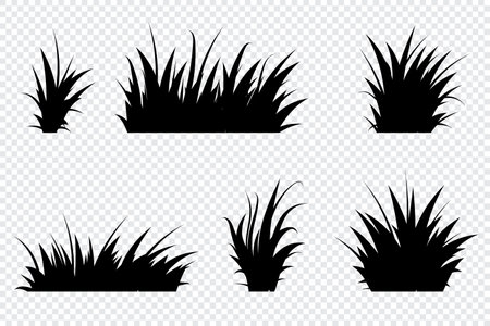 Set of black grass. Grass bushes of different shapes. Hand drawn grass. Grass silhouettes. Vector illustrationのイラスト素材