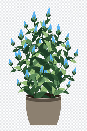 Home plant. Potted plant isolated. Decorative green houseplant in pot. Plant in pot. Vector illustrationのイラスト素材