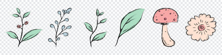 Set of branch with green leaves hand drawn illustration. Floral elements design. Hand drawn botanical illustrationのイラスト素材