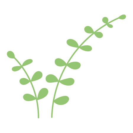 Summer hand drawn flower. Wildflower and leaves. Floral element. Garden plant element. Vector flat illustrationのイラスト素材