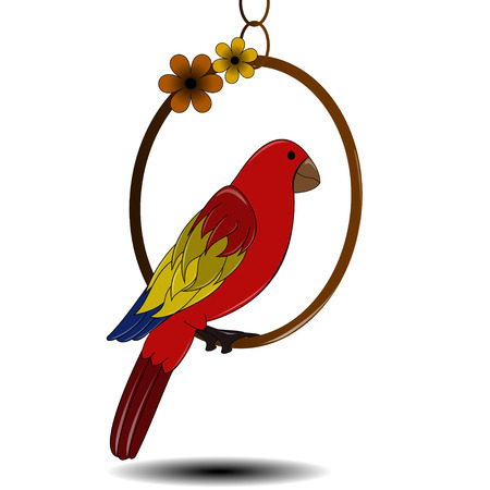 Illustration of red parrotのイラスト素材