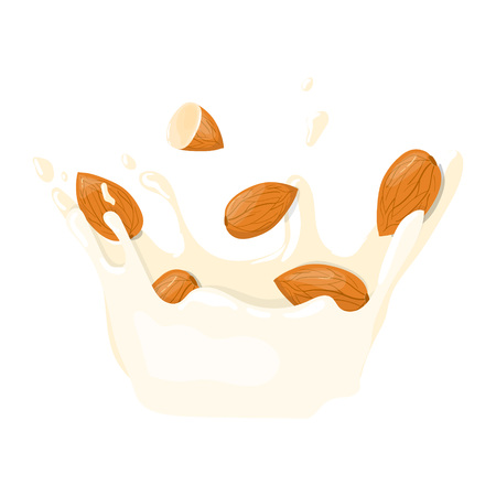 Almond With Milk Splash vector icon. Healthy eating cartoon illustration isolated on white backgroundのイラスト素材
