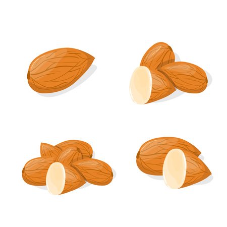 Closeup Almond vector icon. Healthy eating cartoon illustration. Group of nuts isolated on white backgroundのイラスト素材