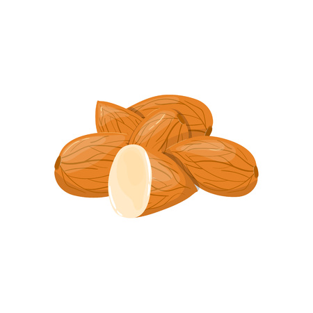 Closeup Almond vector icon. Healthy eating cartoon illustration. Group of nuts isolated on white backgroundのイラスト素材