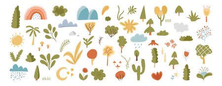Big park plants flat clipart collection isolated on white. Forest tree, tropical nature, botanical set vector illustration. Wild flowers, Scandinavian woodland, cartoon branch, herb leavesのイラスト素材