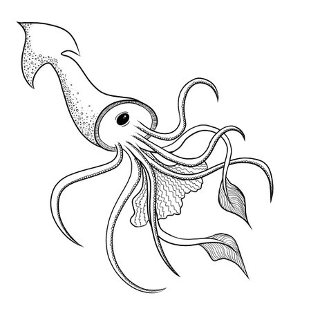 isolated graphic black and white squidの写真素材