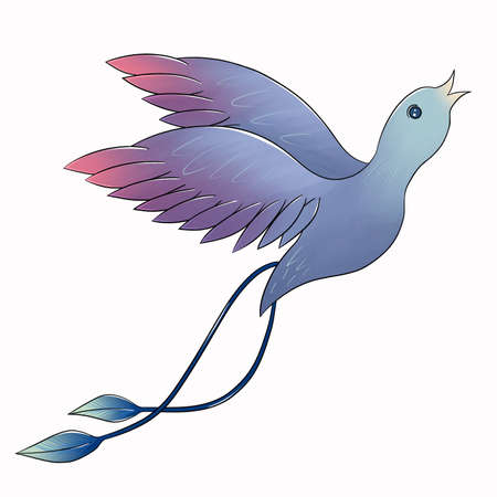 bluebird of paradise in flight isolated on whiteの写真素材