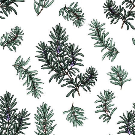 seamless pattern of textile rosemary branchesの写真素材