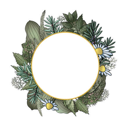 round frame with herbs plantain mint rosemary chamomileの写真素材