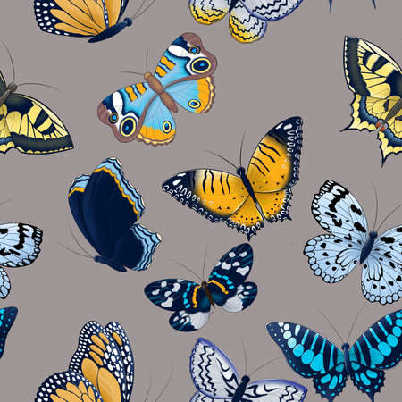 seamless pattern of blue, gray, orange, brown butterflies set isolatedの写真素材