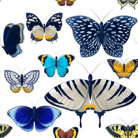 seamless pattern of blue, gray, orange, brown butterflies set isolatedの写真素材