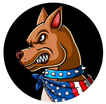 Angry pitbull wearing a scarf of illustrationのイラスト素材