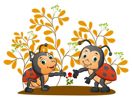 The sibling of the ladybugs is growing up the beautiful rose in the garden of illustrationのイラスト素材