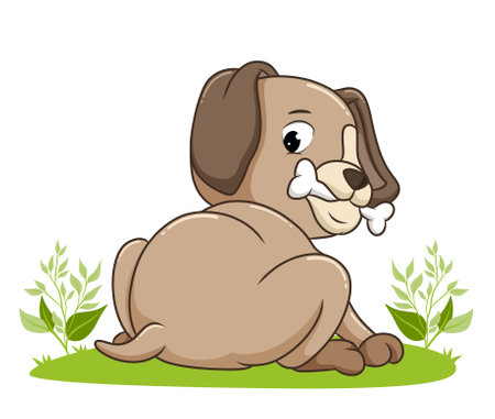The dog is bitting the bone of illustrationのイラスト素材