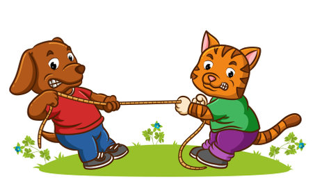 The dog and the cat are playing the tug of war in the park of illustrationのイラスト素材