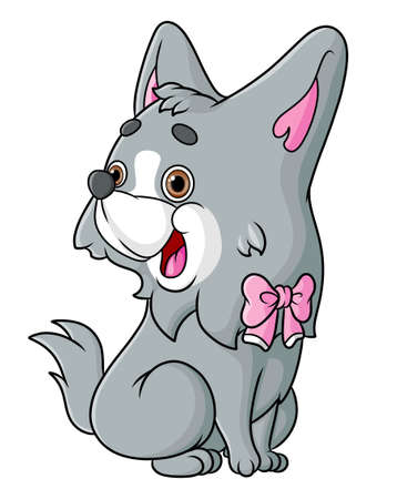 The maltese dog is doing the contest with the cute face of illustrationのイラスト素材