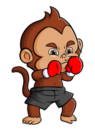 The master monkey is doing the boxing with the good gloves of illustrationのイラスト素材