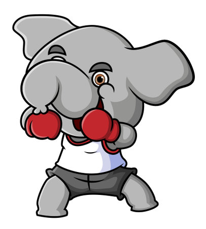 The boxer elephant is boxing and wearing gloves of illustrationのイラスト素材