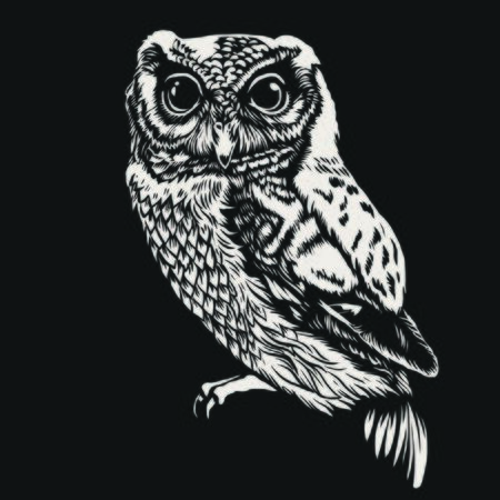 owl illustration portrainのイラスト素材