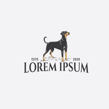 Labrador Retriever dog logo design template. Vector illustration.のイラスト素材