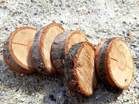 Beautiful objects placed in the sand from cerry round wood for tools or game in garden with...