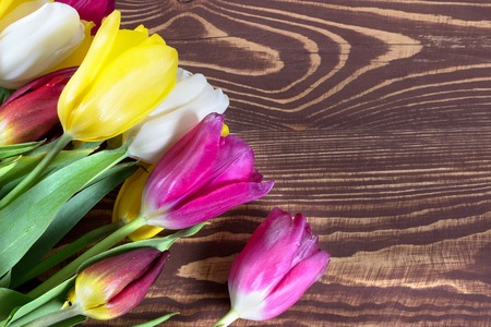 Colorful tulips on wooden background. Happy mothers day. Spring timeの写真素材
