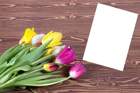 Colorful tulips on wooden background. Happy mothers day. Spring timeの写真素材