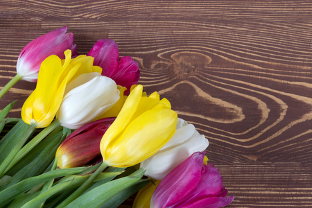 Colorful tulips on wooden background. Happy mothers day. Spring timeの写真素材