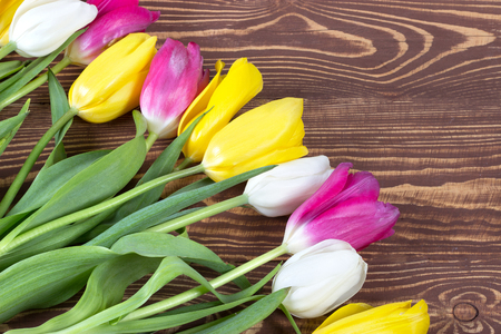 Colorful tulips on wooden background. Happy mothers day. Spring timeの写真素材