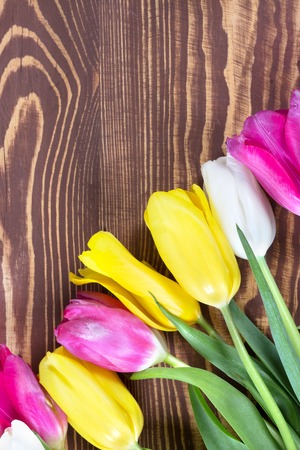 Colorful tulips on wooden background. Happy mothers day. Spring timeの写真素材