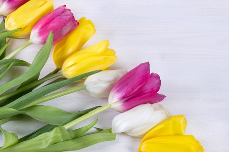 Beautiful tulips on wooden backgroundの写真素材