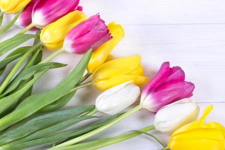 Beautiful tulips on wooden backgroundの写真素材