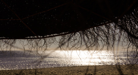 sunshine, umbrella, oceanの写真素材