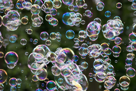 Movement colorful soap bubbles floating in the air.の写真素材