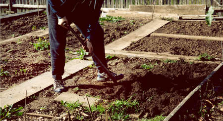 A man digs the ground with a shovel. Selective focus. nature.の写真素材