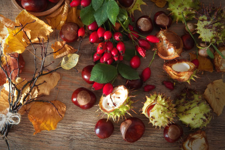 Autumn still life with chestnuts, berries and leaves on wooden backgroundの写真素材