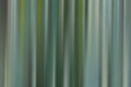 Abstract natural colored background